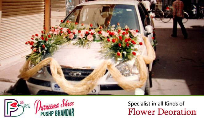 Purneema Flowers