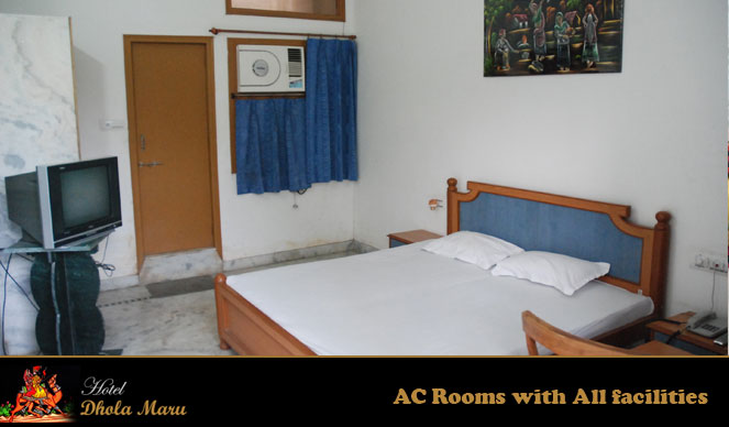 Hotel Dhola Maru