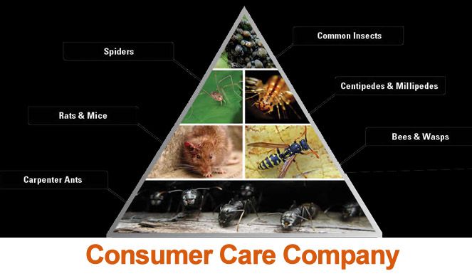 Consumer Care Company
