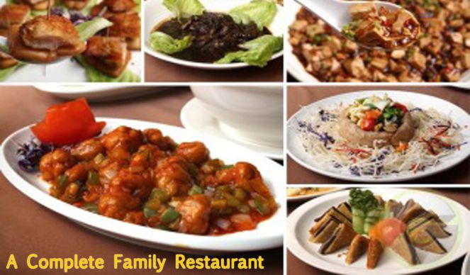 Shiv Shakti | Best Cafe in Udaipur | Restaurants in Udaipur | Tiffin Center Udaipur