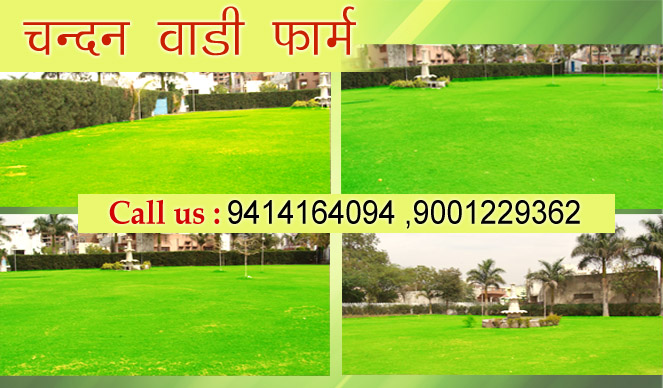 Chandan Wadi Farm | Event Management Services in Udaipur | Tent House, Photo Studio in Udaipur
