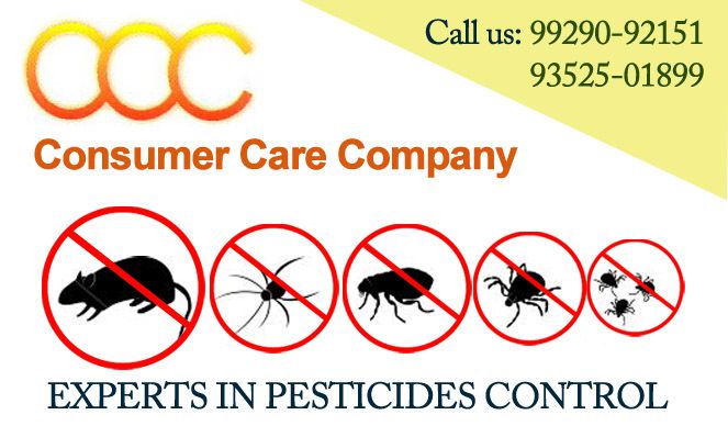 Consumer Care Company | Real Estate Services in Udaipur | Property Dealers in Udaipur